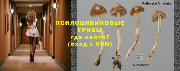 кокаин VHQ Михайловка