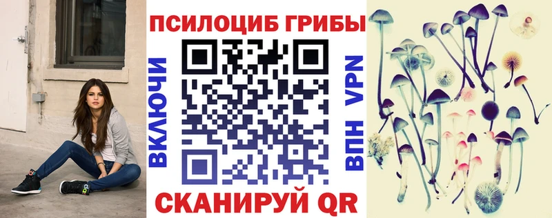 Псилоцибиновые грибы Psilocybine cubensis  Купить закладки  Новая Ладога 