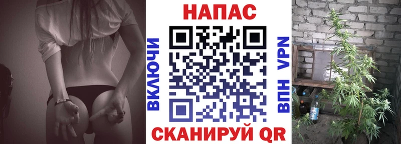 Купить где Новая Ладога Канабис тримм